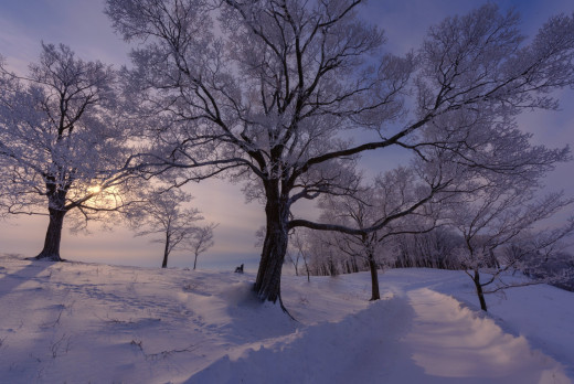 �1756474 �������(a): ����������:2048x1367